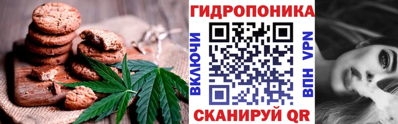 Canna-Cookies марихуана  Спасск-Дальний 