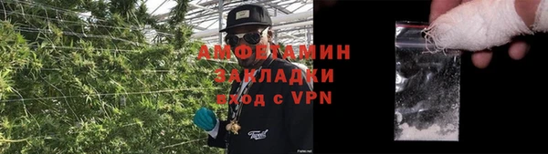 ГАЛЛЮЦИНОГЕННЫЕ ГРИБЫ Аркадак