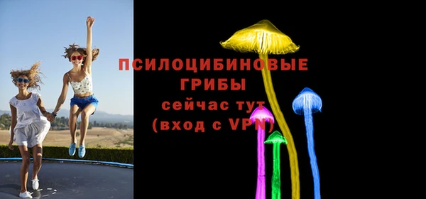 эйфоретик Горняк