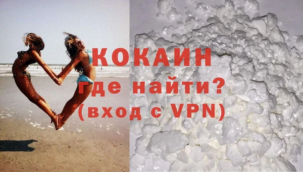 индика Армянск