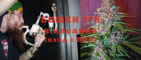 ГАЛЛЮЦИНОГЕННЫЕ ГРИБЫ Аркадак