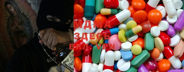 ГАЛЛЮЦИНОГЕННЫЕ ГРИБЫ Аркадак