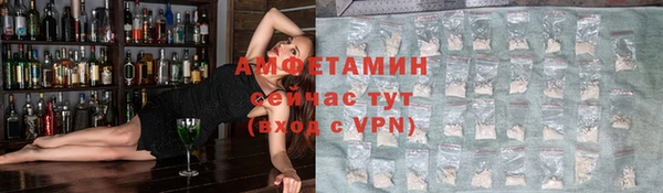 ГАЛЛЮЦИНОГЕННЫЕ ГРИБЫ Аркадак