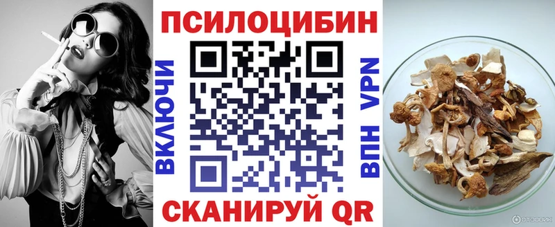 OMG tor  сколько стоит  Спасск-Дальний  Галлюциногенные грибы мицелий 