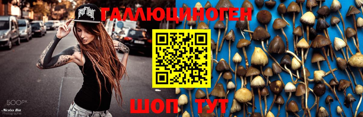 Галлюциногенные грибы GOLDEN TEACHER Спасск-Дальний