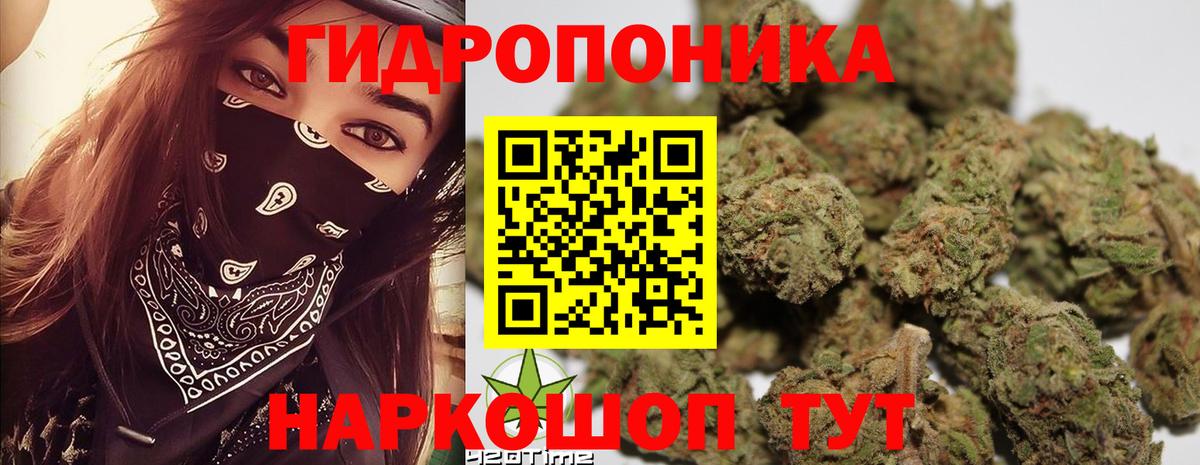 Бошки марихуана OG Kush  Шишки марихуана план  Каннабис Ganja  Бошки Шишки индика  Вход с VPN  Спасск-Дальний 